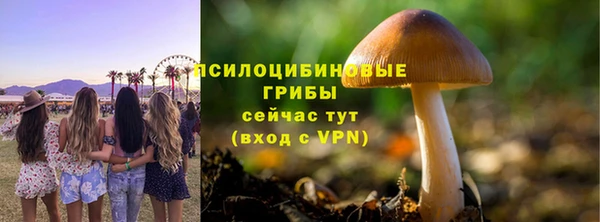 прущие грибы Богородицк