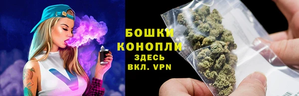 прущие грибы Богородицк