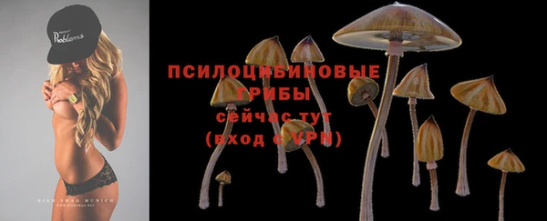гашишное масло Богородск