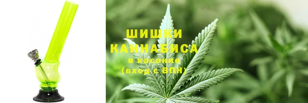 прущие грибы Богородицк