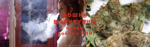 прущие грибы Богородицк