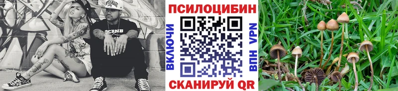 Галлюциногенные грибы мицелий  Котельнич 